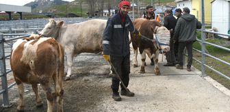 Kars'ta kurbanlıklar bayrama sayılı günler kala alıcılarını bekliyor