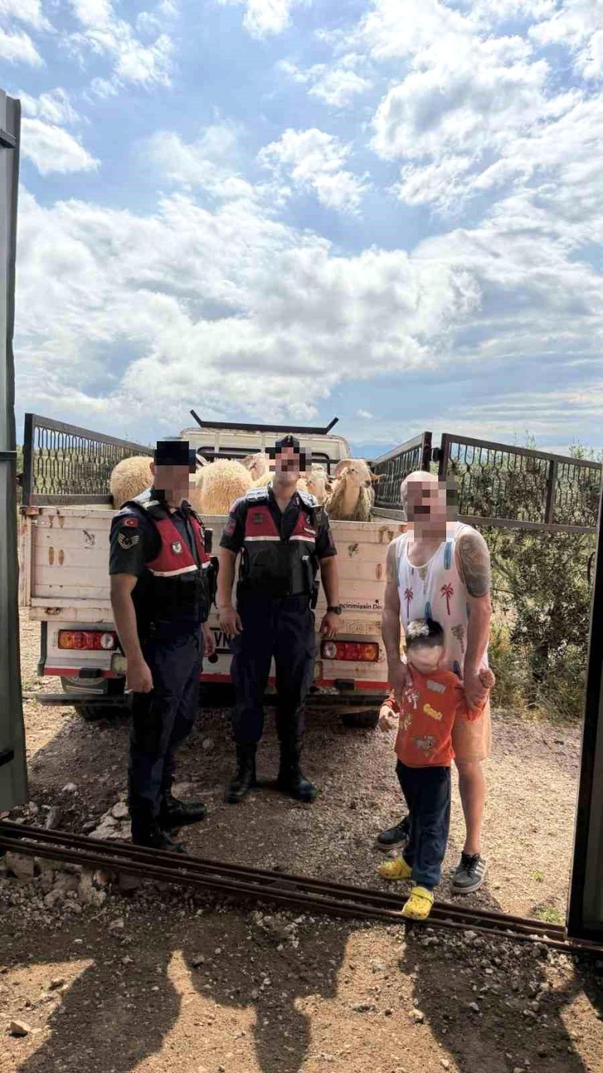 Kurban Bayramı öncesi çalınan koyunları jandarma buldu