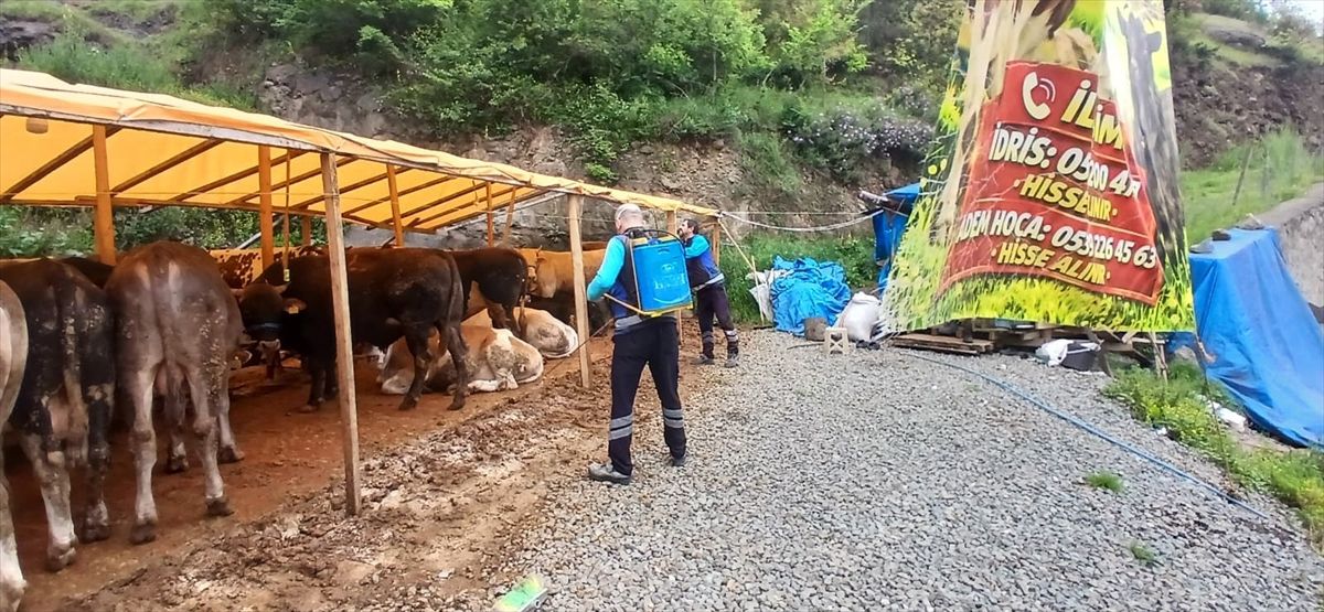 Trabzon'da kurban satış ve kesim alanları dezenfekte edildi