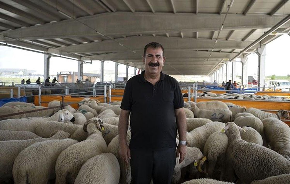 TÜRKYED Genel Başkanı Çelik: 'Vatandaşlarımız vekalet verdiği kurumun kurban kesimini İslami usullere uygun gerçekleştirdiğinden emin olmalıdır'