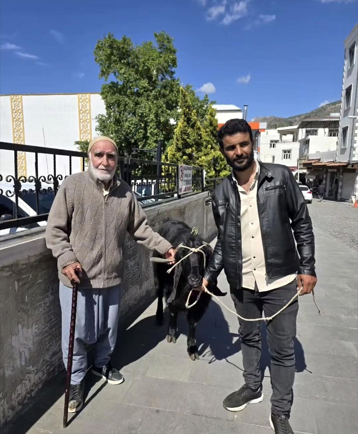 70 kiloluk dev keçi 36 bin liraya satıldı