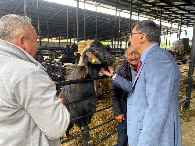 Başkan Eyüp Kahveci'den Kurban Pazarı ziyareti