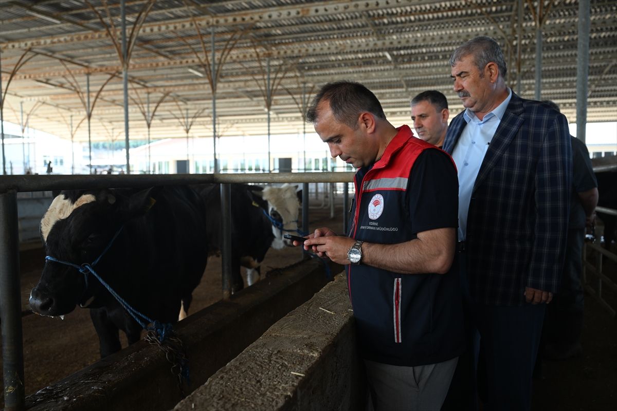 Edirne'de kurbanlık satış alanları denetlendi