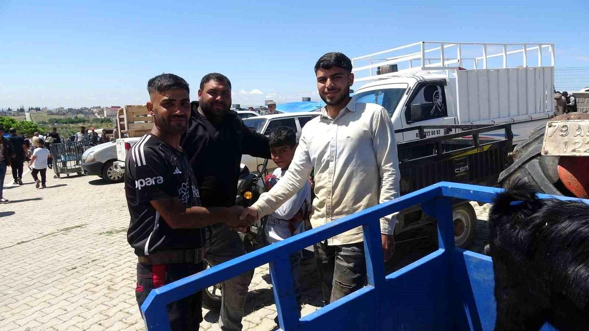 Kilis'te kurbanlık pazarında hareketlilik arttı