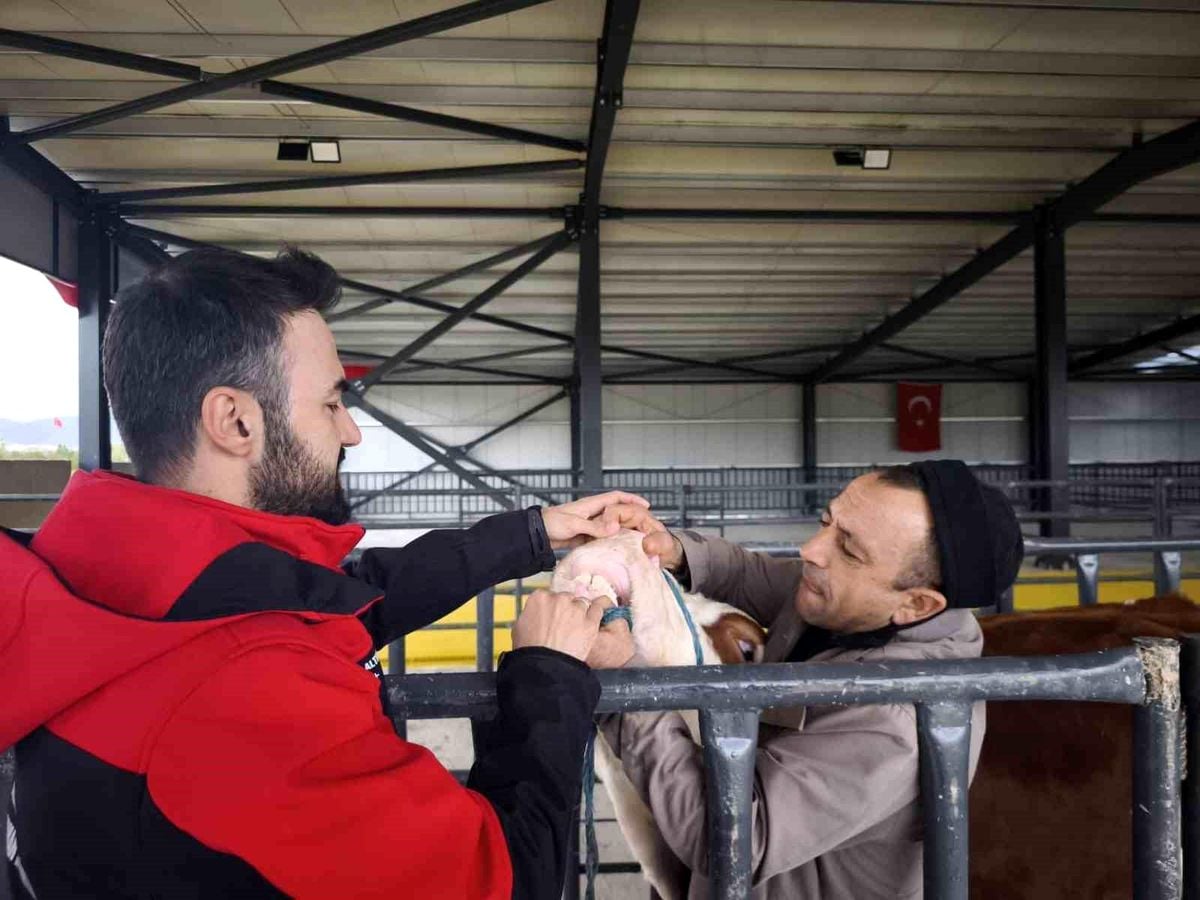 Kurbanlık denetimleri sürüyor
