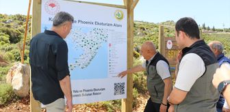 Marmaris'te 'Karia Yolu ve Phoenix Ekoturizm Alanı' kuruluyor