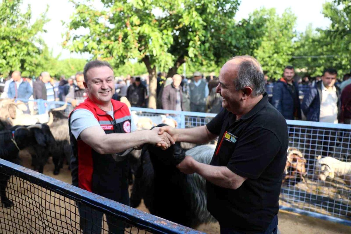Muğla'da Kurban pazarlarında sıkı denetim