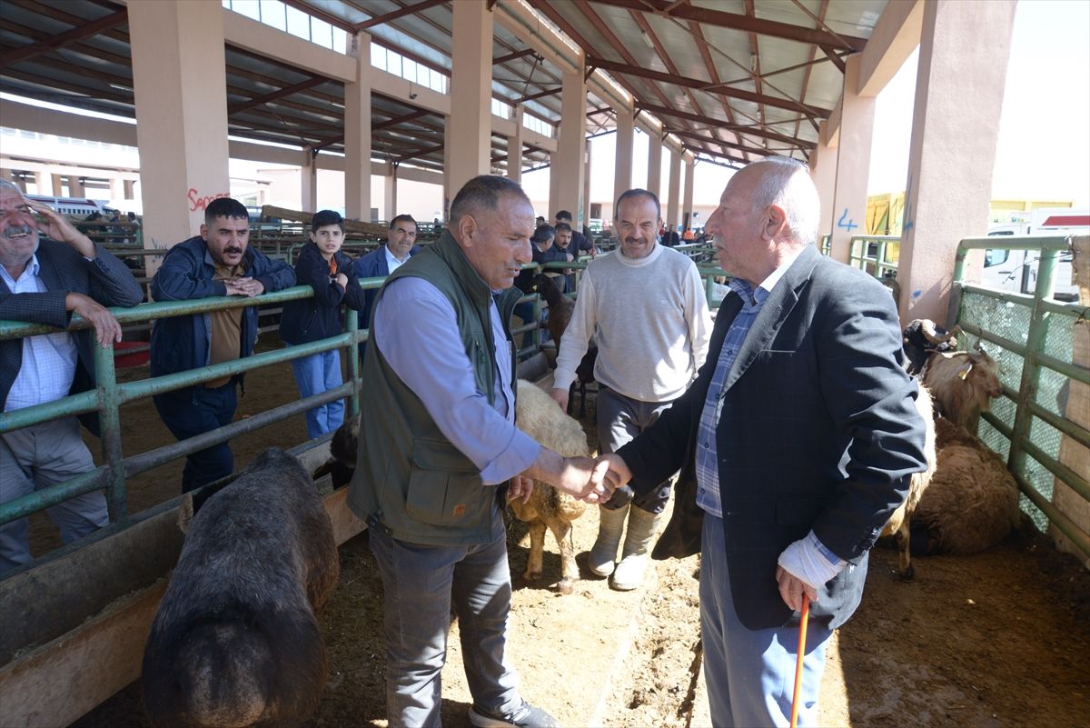 Muş'ta hayvan pazarında satış hareketliliği arttı