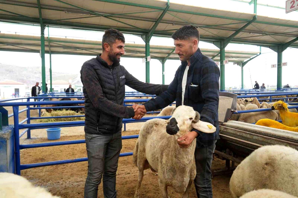 Niğde'de hayvan pazarında bayram bereketi yaşanıyor