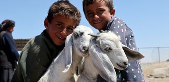 Şam'da Kurban Bayramı öncesi hayvan pazarlarında hareketlilik arttı