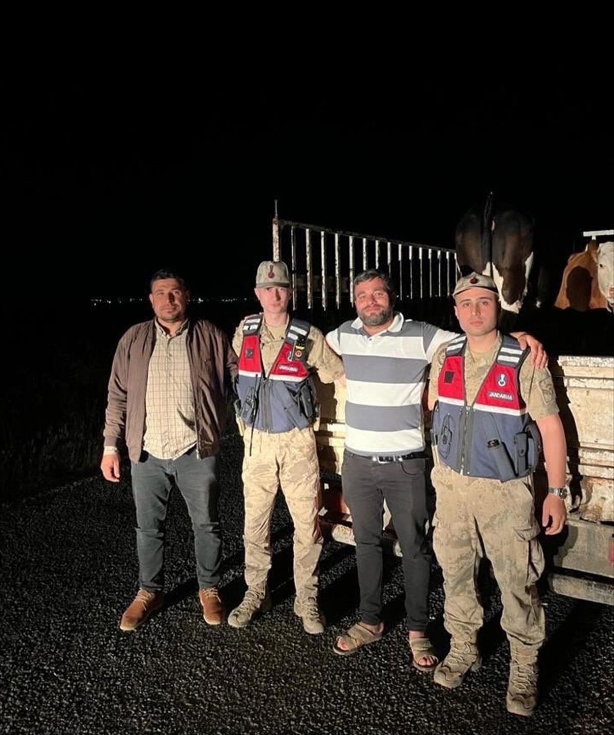 Şanlıurfa'da kaybolan kurbanlık 2 tosunu jandarma buldu