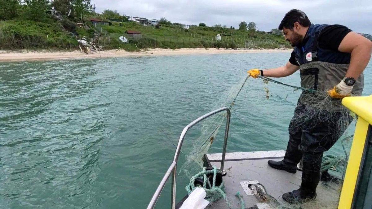 Sinop'ta kaçak avcılığa geçit yok