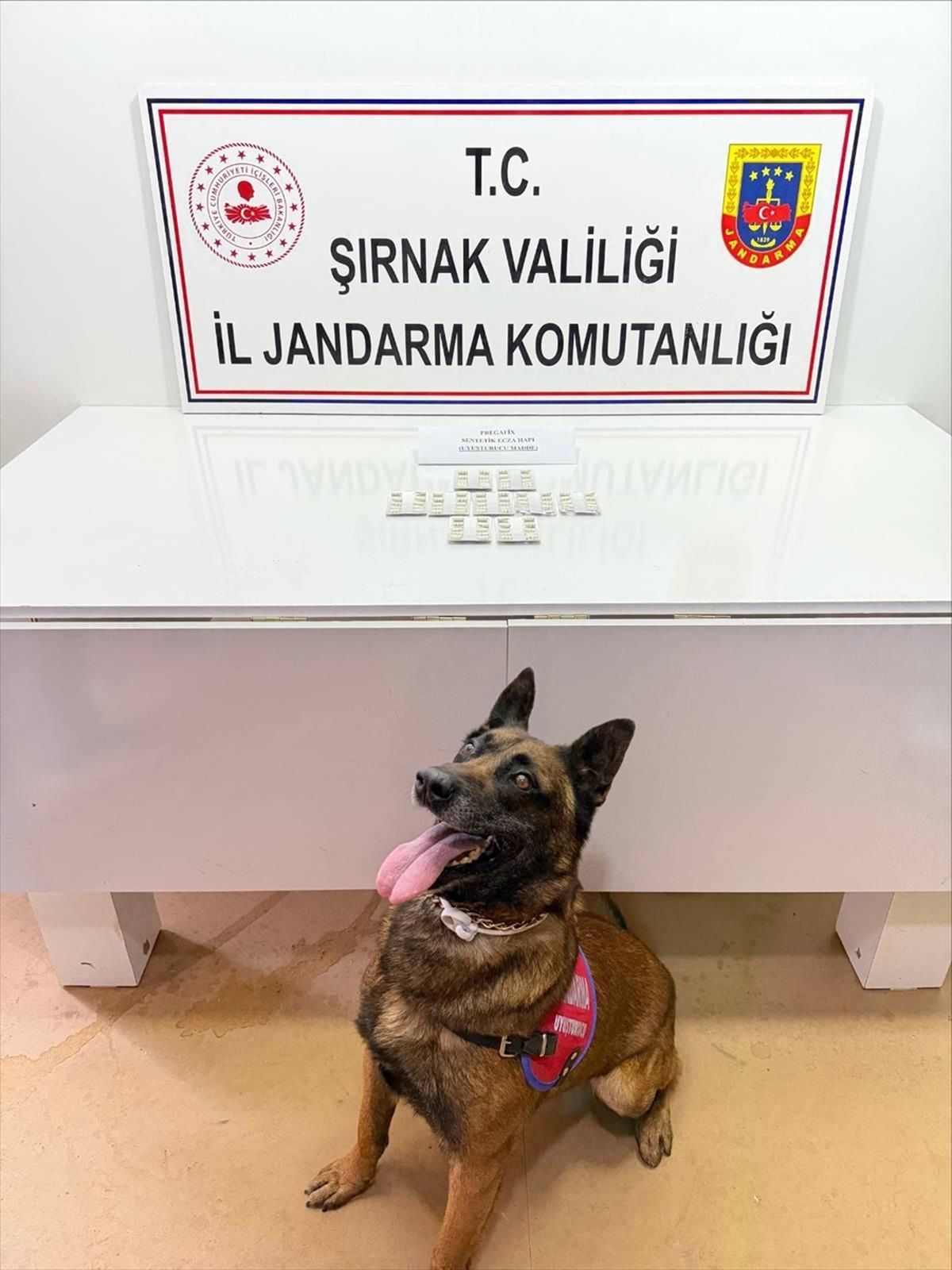 Şırnak'ta kaçakçılık ve asayiş operasyonlarında 105 şüpheliye adli işlem uygulandı