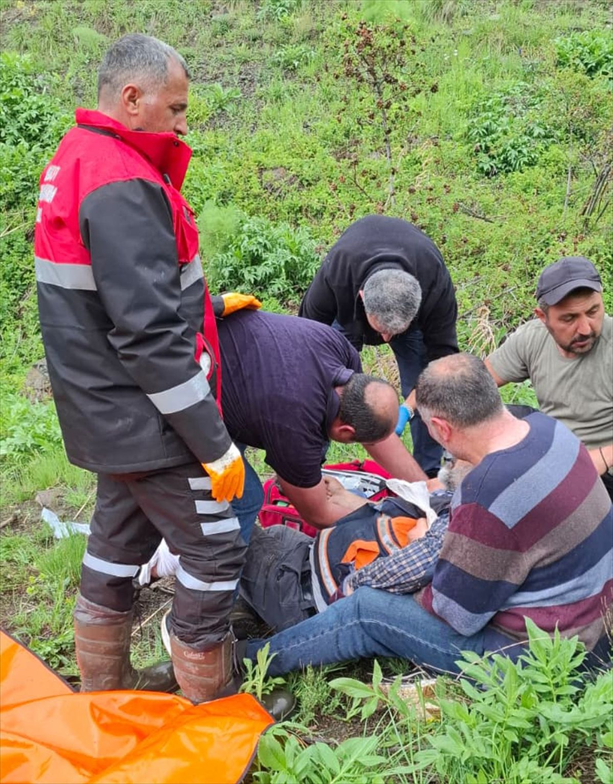 Sivas'ta mantar toplarken ayının saldırısına uğrayan kişi yaralandı