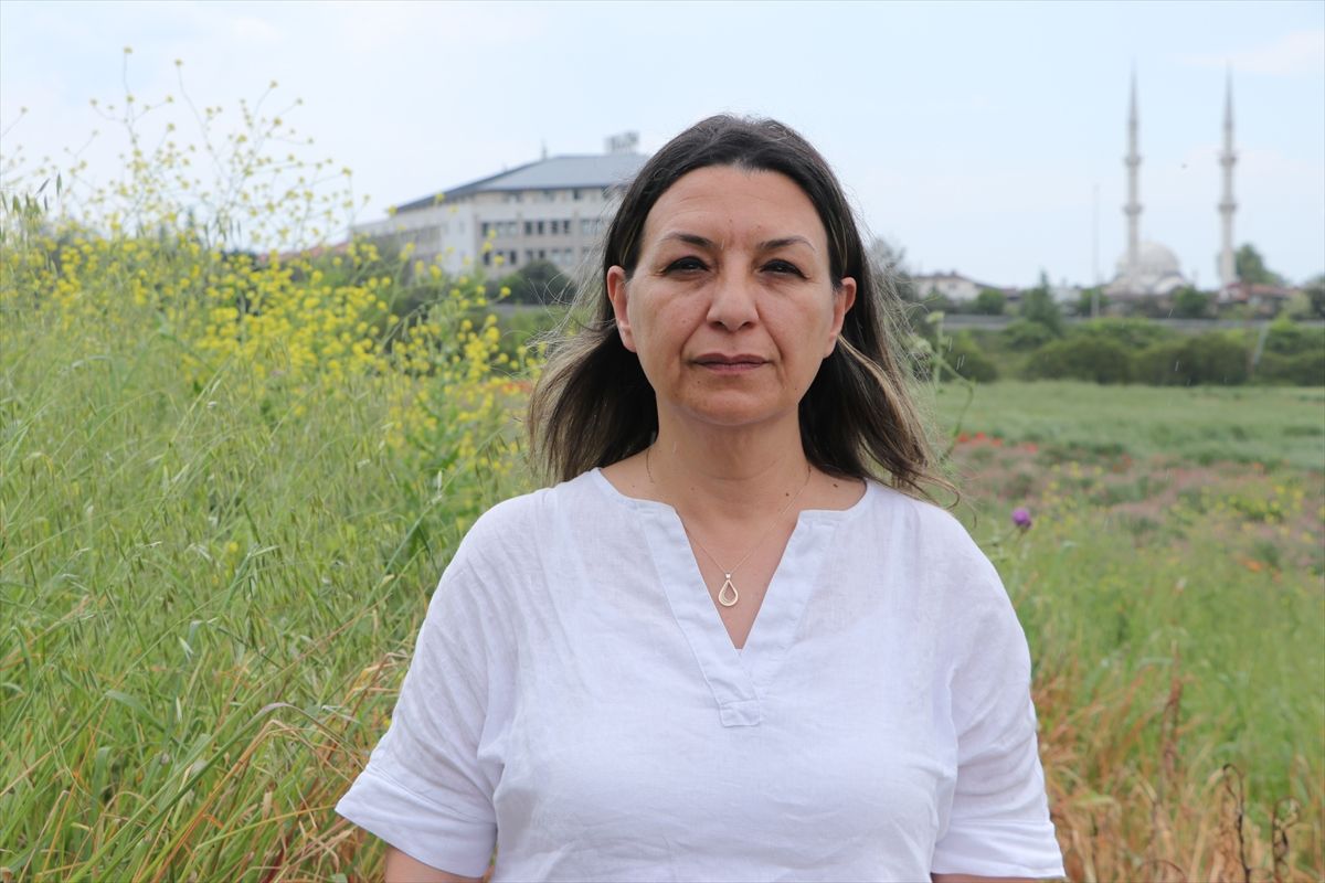 Tekirdağ'da buğday üreticilerine 'sarı cücelik' hastalığı uyarısı