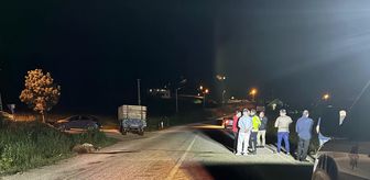 Tokat'ta otomobilin koyun sürüsüne çarpması sonucu 5 koyun telef oldu