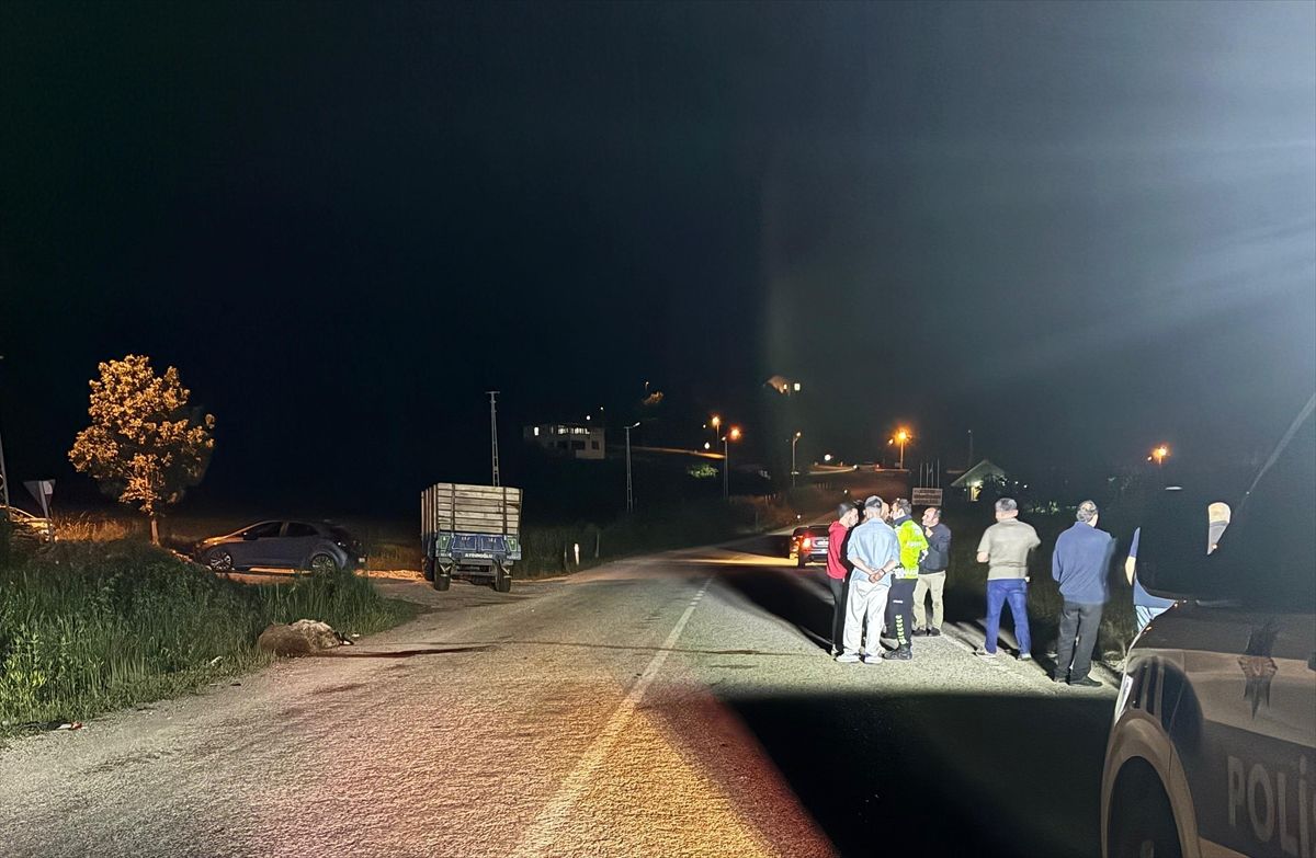 Tokat'ta otomobilin koyun sürüsüne çarpması sonucu 5 koyun telef oldu