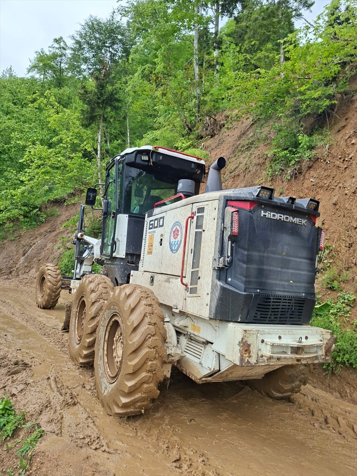 Trabzon'un bazı ilçelerinde yağış etkili oldu