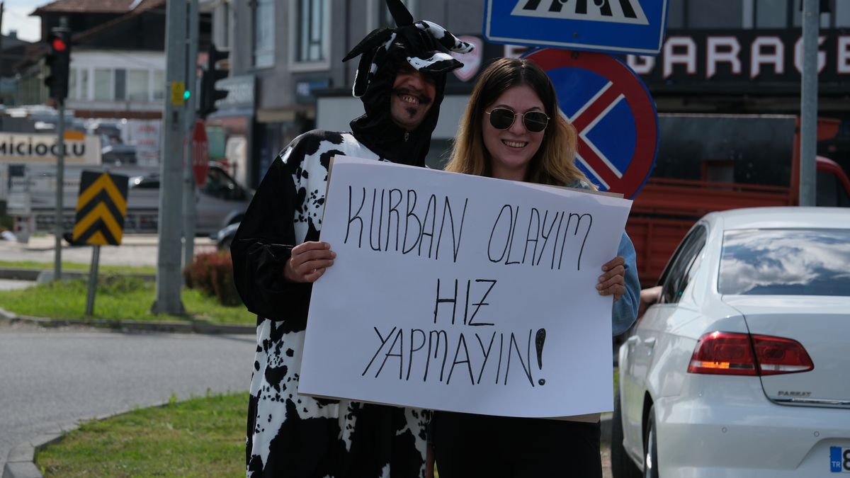 Akan trafikte inek kostümüyle sürücülere hız yapmayın uyarısı