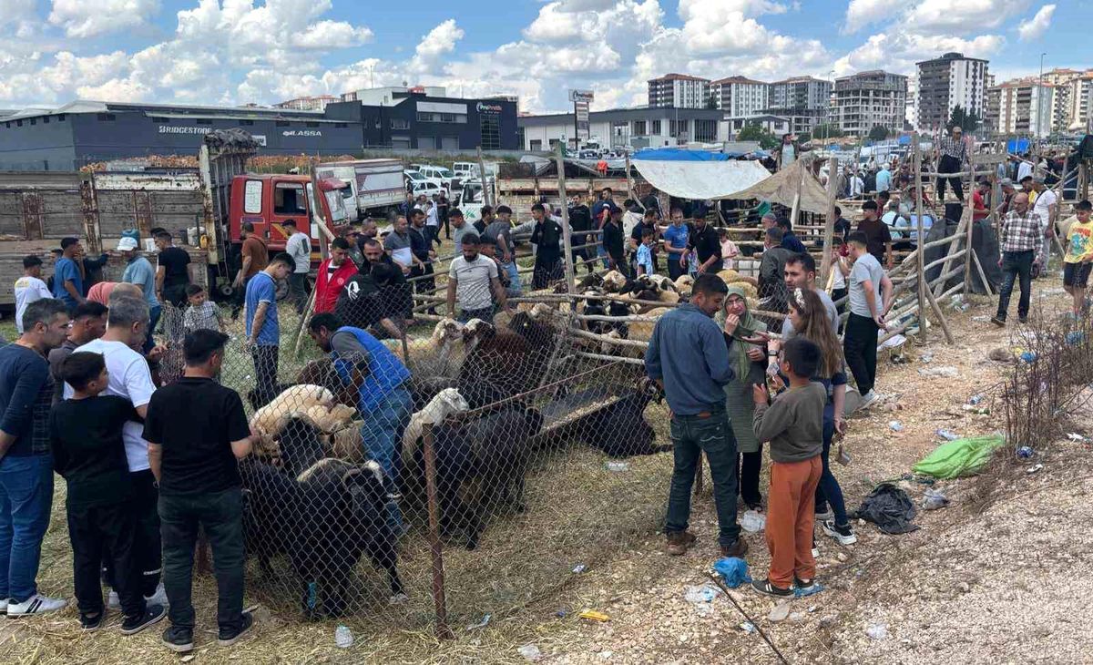 Arefe günü Gaziantep'teki kurban pazarlarında yoğunluk had safhaya çıktı