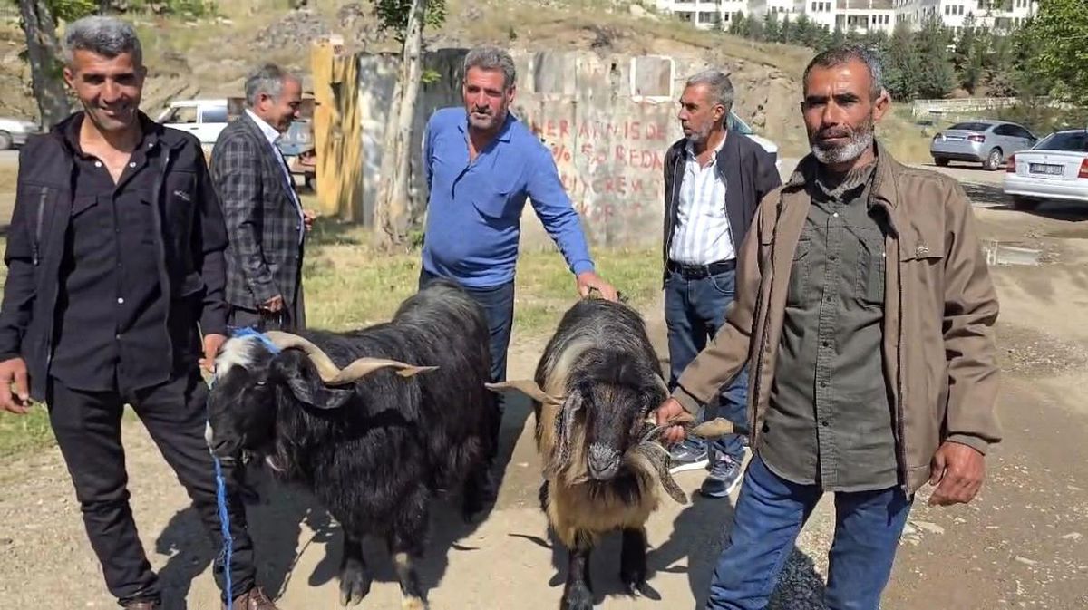 Bayram öncesi hayvan pazarına ilgi arttı