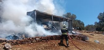 Bodrum'da konteynerde çıkan yangın söndürüldü