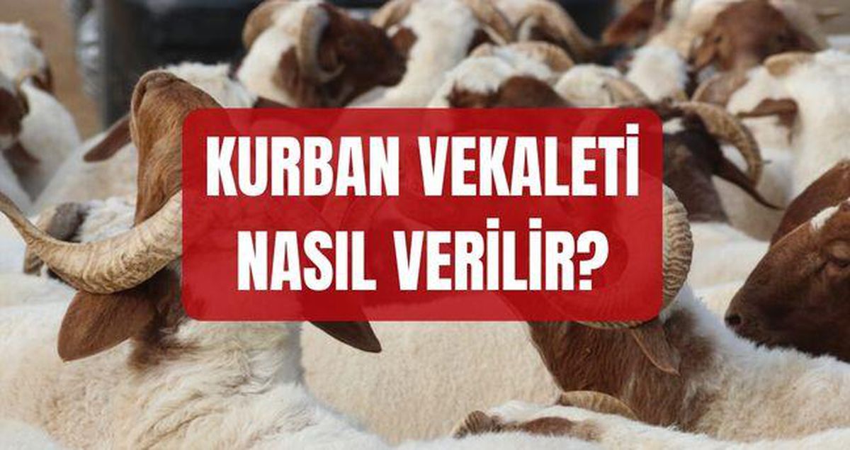Kurban vekaleti nasıl verilir? Kurban vekaleti kimlere verilebilir, şartları neler?