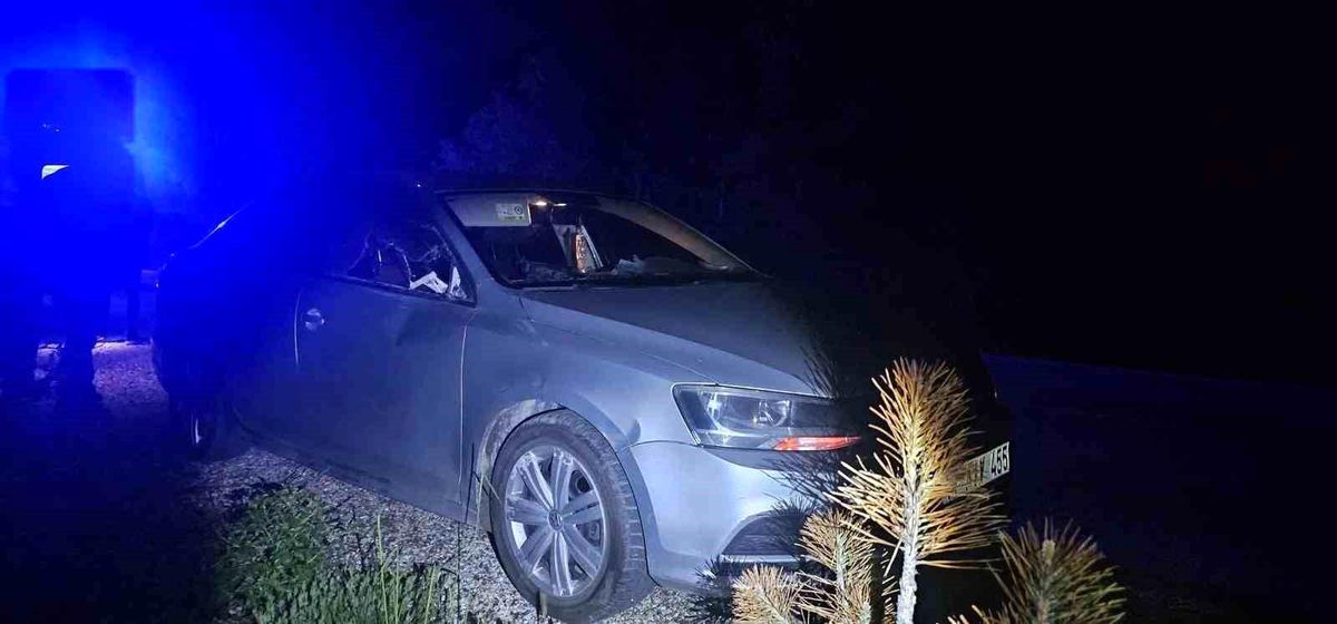 Seyir halindeki otomobile geyik çarptı: 2 yaralı