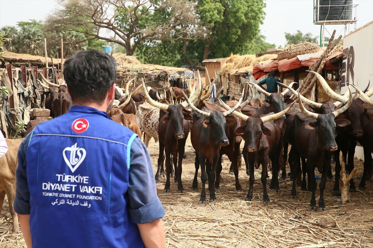 TDV gönüllüleri, kurban bereketini Nijer'de binlerce aileye ulaştıracak