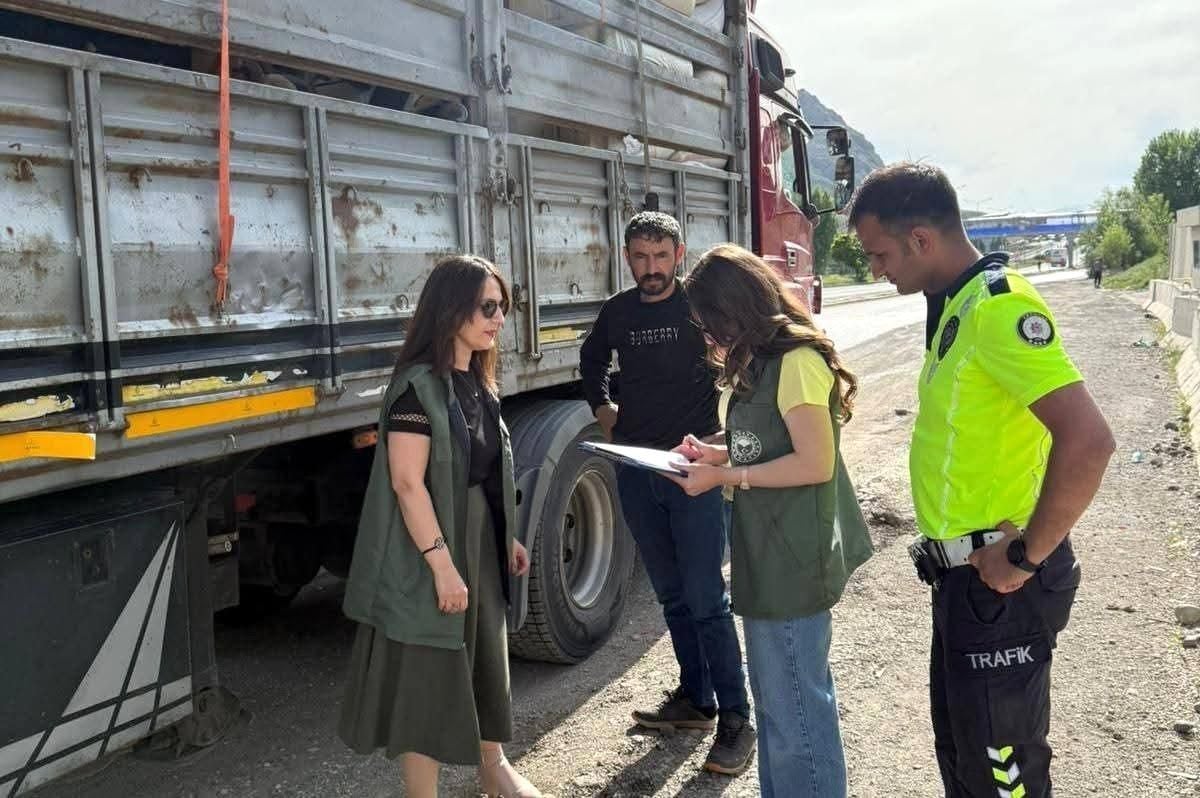 Tercan'da kurbanlık hayvan sevkiyatlarına sıkı denetim