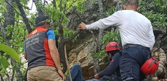 Tunceli'de rahatsızlanan astım hastası ormanlık arazide 750 metre sedyeyle taşındı