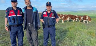 Yozgat'ta kaybolan 7 büyükbaş hayvan jandarma tarafından bulundu