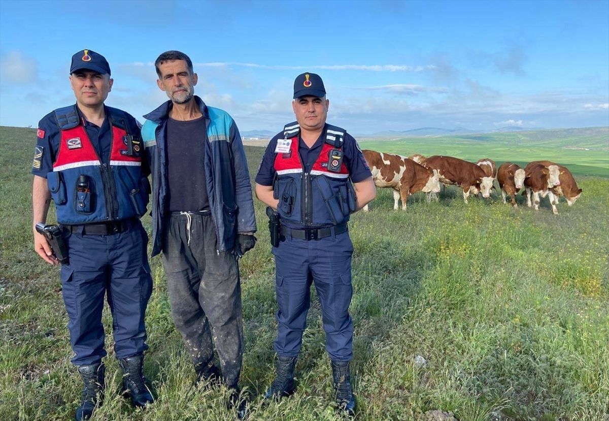 Yozgat'ta kaybolan 7 büyükbaş hayvan jandarma tarafından bulundu