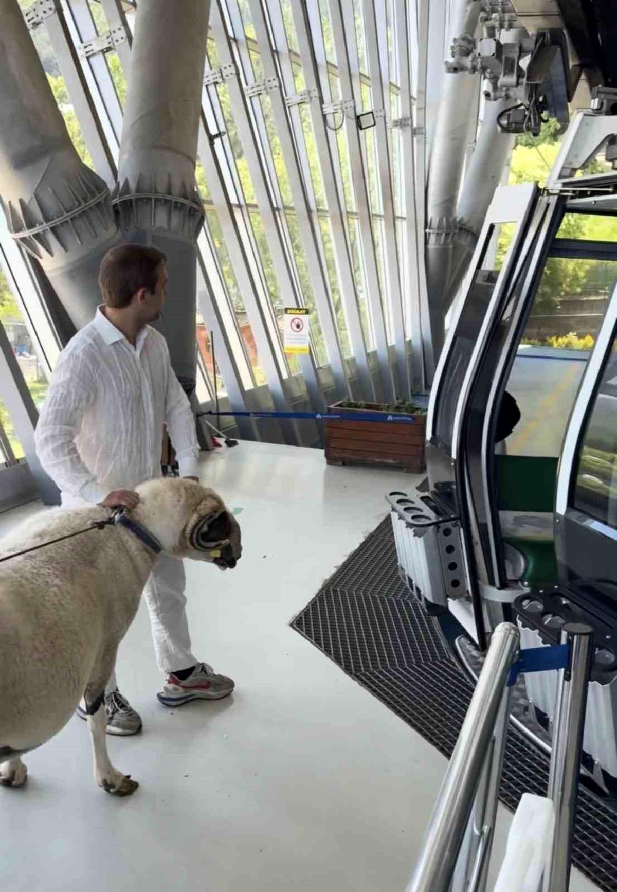 Bayramda keseceği koçla teleferik keyfi yaptı