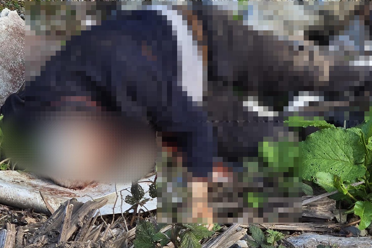Düzce'de cinayet çözüldü: Şüpheli suçunu itiraf etti