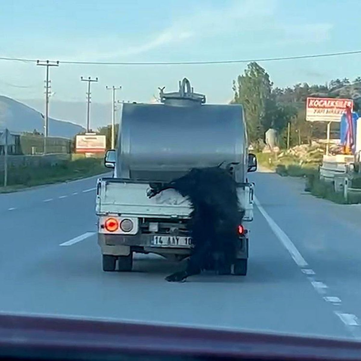 Kurbanlığı araçtan sarkıtıp kilometrelerce sürükledi