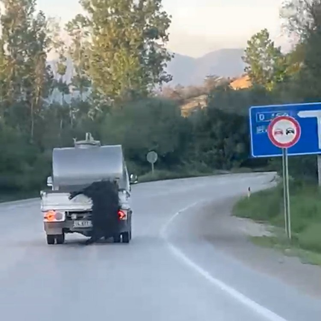 Все отметили министра Чифтчи