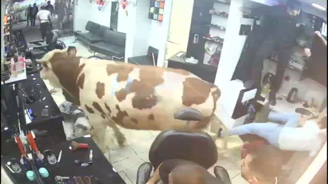 Panic moments on camera
