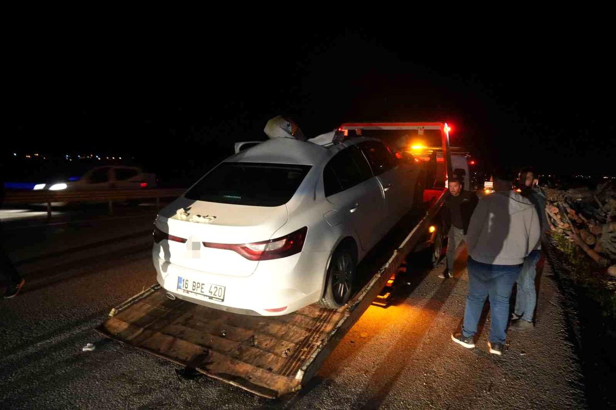Muş-Bingöl kara yolunda otomobil ata çarptı: 7 yaralı