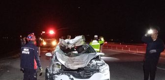 Muş'ta yola çıkan ata çarpan araçtaki 4 kişi yaralandı