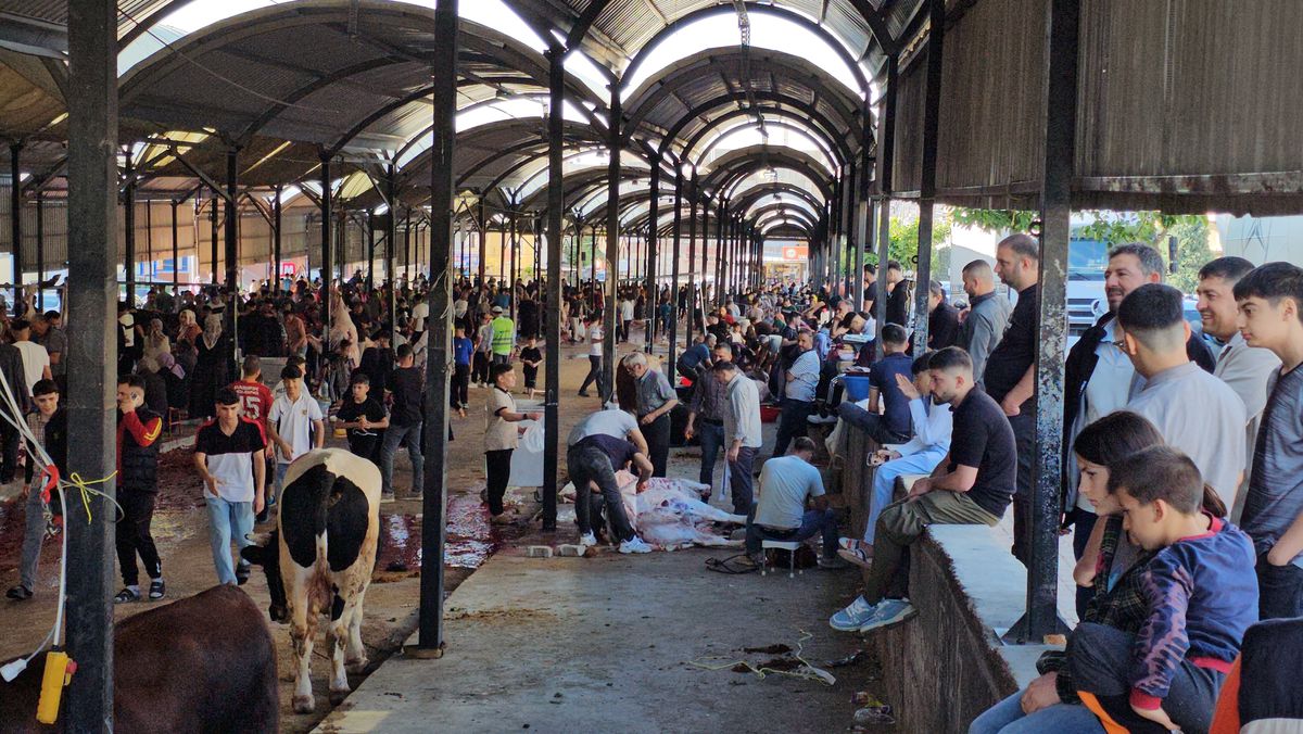 Şanlıurfa'da Kurban Bayramı'nda Vatandaşlar Kurbanlıklarını Belediye Semt Pazarlarında Kesti