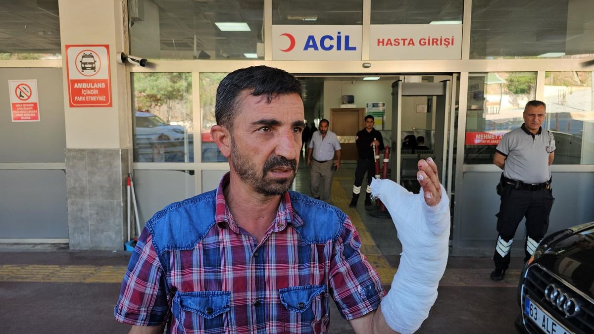 Şanlıurfa'da kurban kesimi sırasında 232 kişi yaralandı
