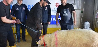 TDV, Afyonkarahisar'da 450 Kurban Hissesini Dağıtacak