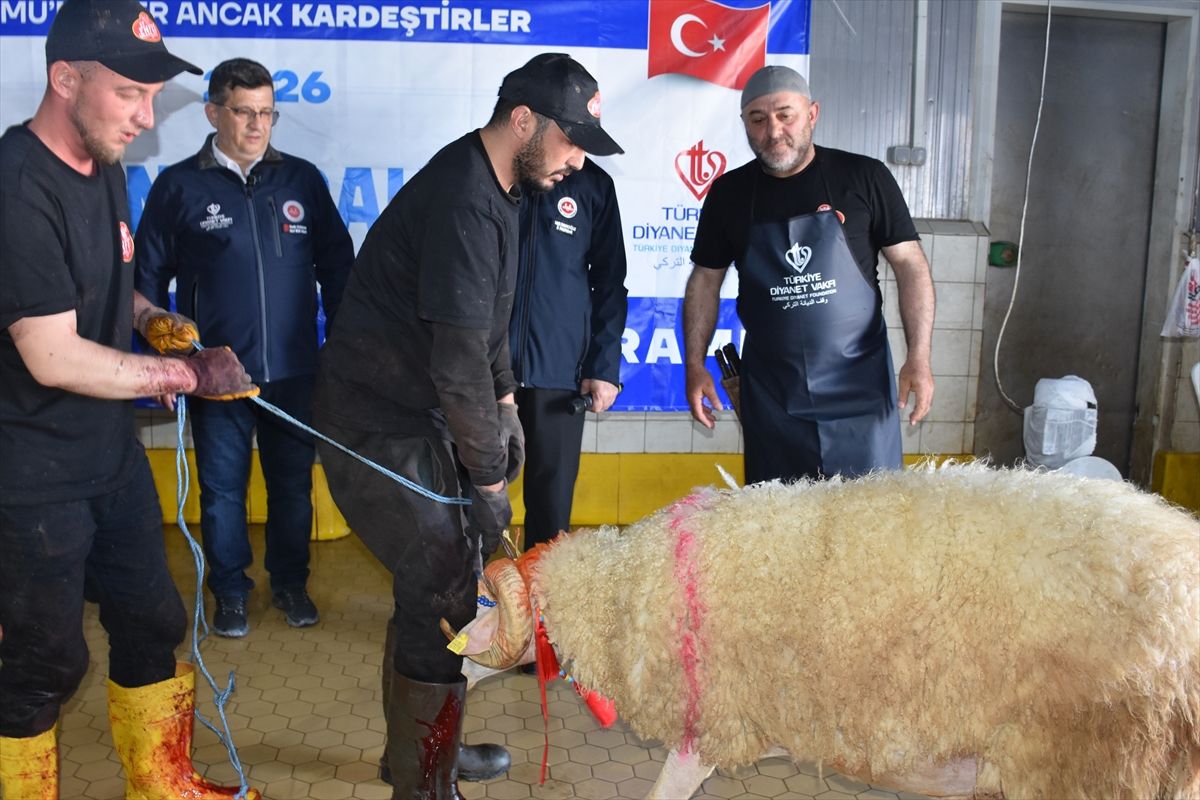 TDV, Afyonkarahisar'da 450 Kurban Hissesini Dağıtacak