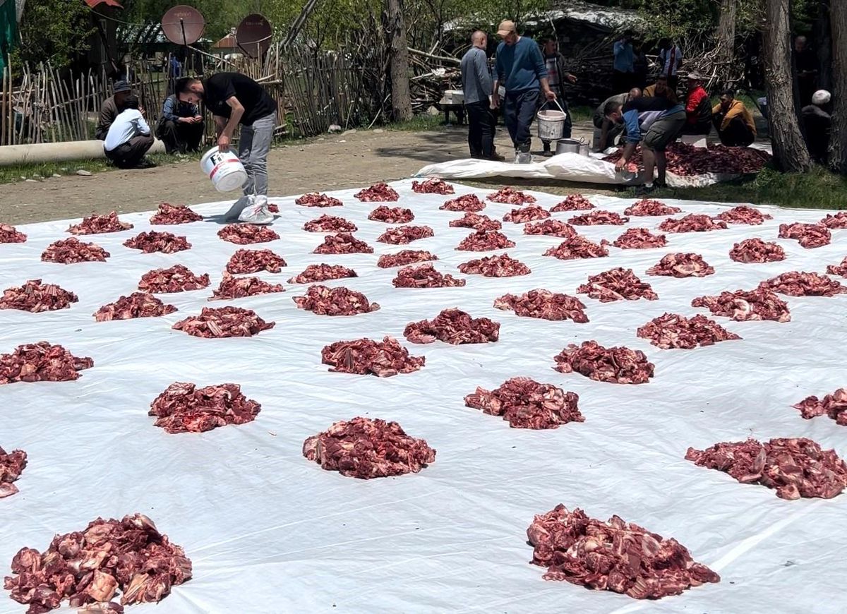 Yüksekova'da 100 yıllık gelenek: 140 kurban kesildi, etler tüm köye eşit dağıtıldı