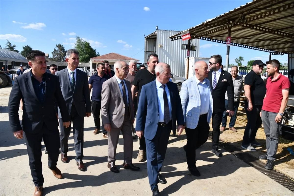 Keşan'da canlı hayvan pazarı ve mezbaha denetlendi