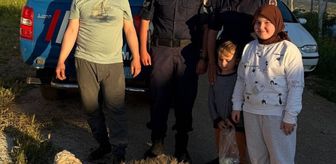 Kırşehir'de kaçan kurbanlık koyunu jandarma yakaladı
