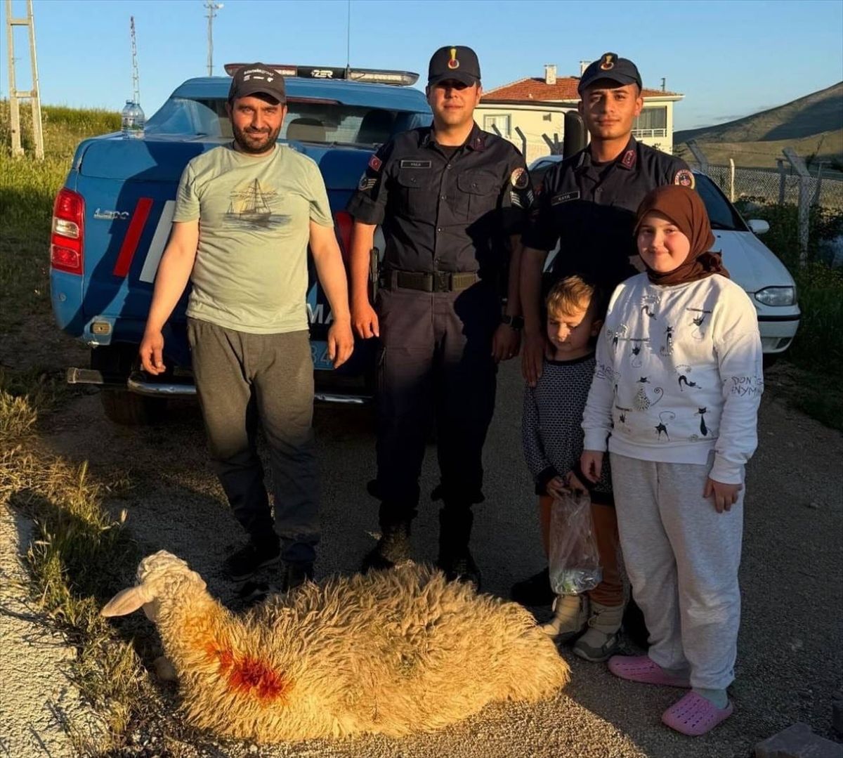 Kırşehir'de kaçan kurbanlık koyunu jandarma yakaladı