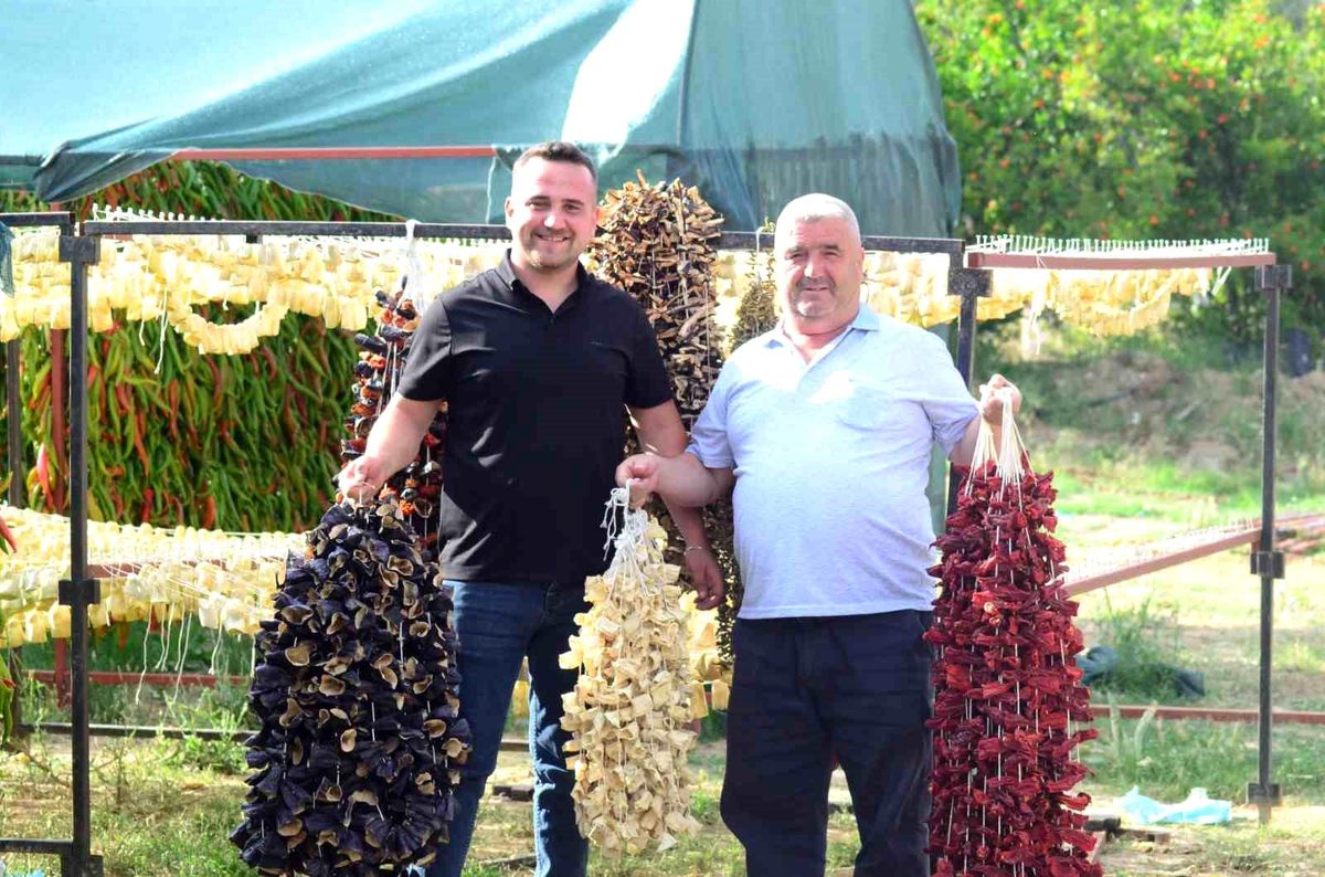 Nazilli'de kurutmalık sebze oymacılığı 'bacasız fabrikaya' dönüştü