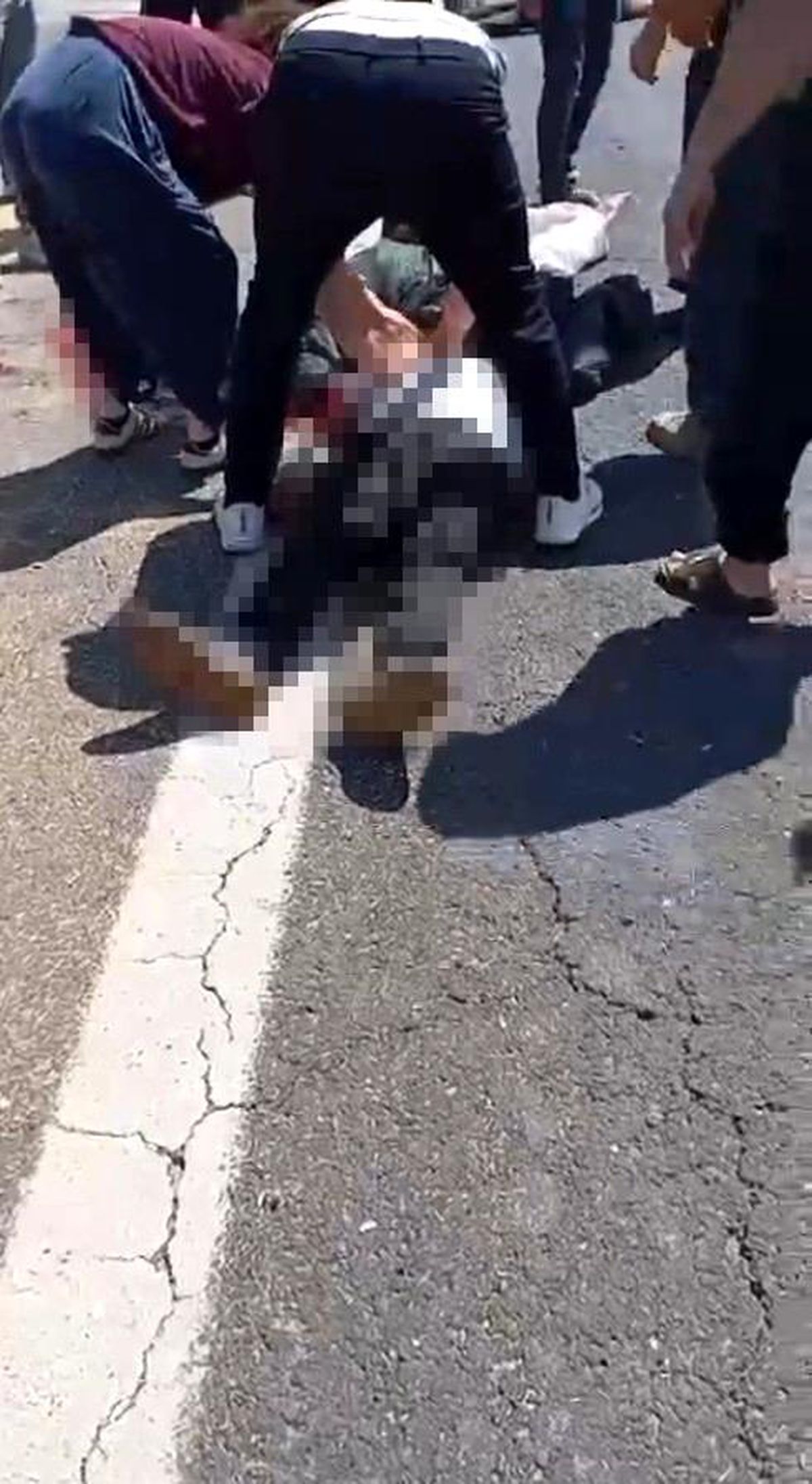 Şanlıurfa'da kurbanlık yüklü kamyonet devrildi: 1 ölü, 1 yaralı